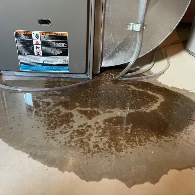 Appliance Leak Cleanup in Topsham, ME